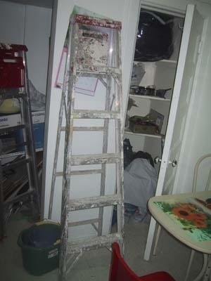Kitchen ladder